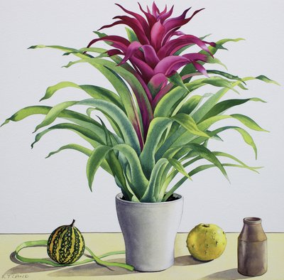 Still Life with Bromeliad by Christopher Ryland